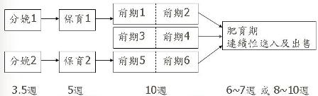 一地式模式 A.jpg