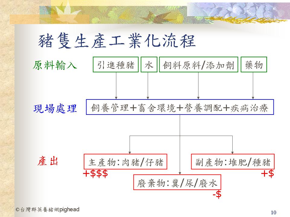 豬隻生產工業化流程02 971209.jpg