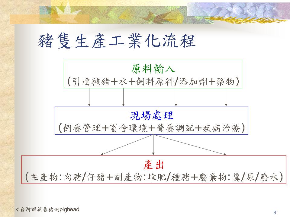 豬隻生產工業化流程01 971209.jpg