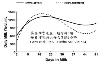 milk yield sow 01.jpg