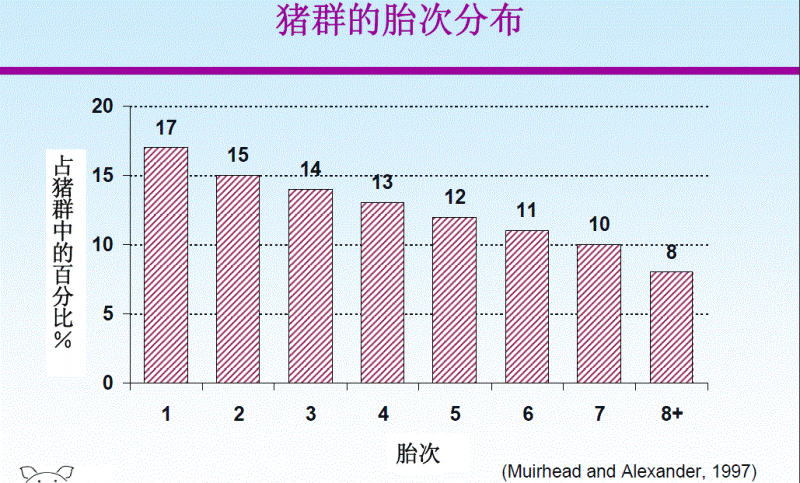 胎次分佈