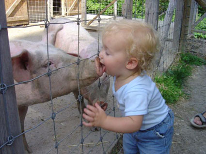 pig-kisserwegweg.jpg