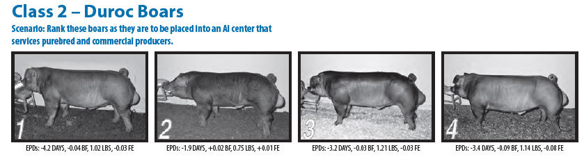 duroc-usa.jpg